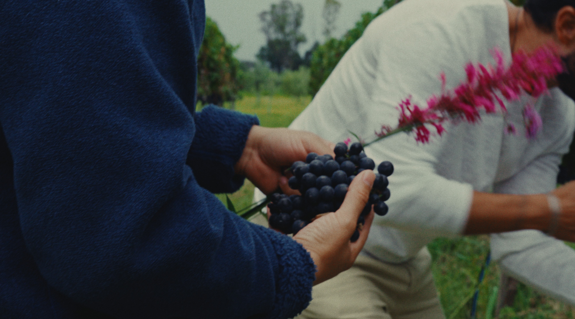 Casa San Francisco behind the scenes