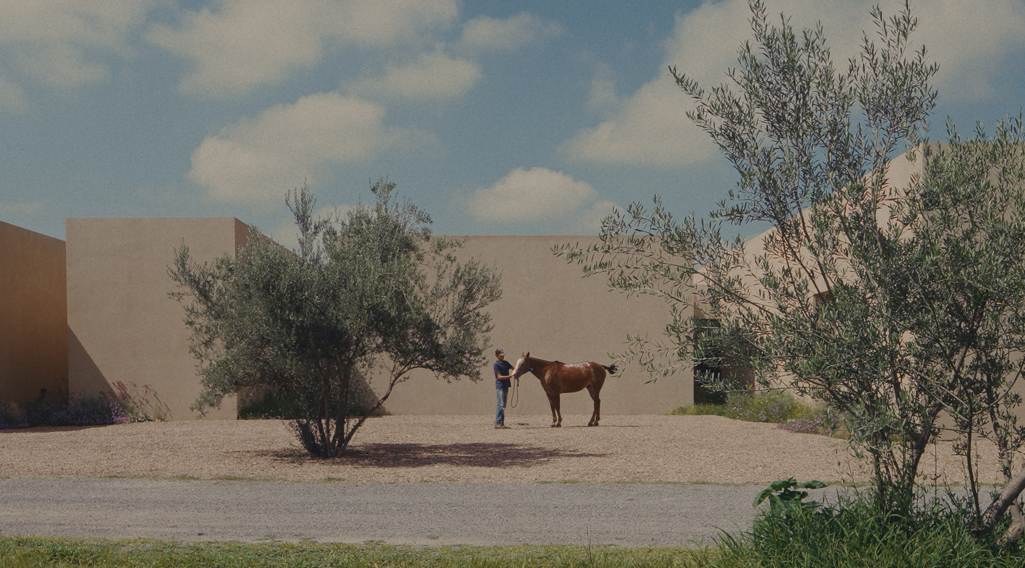 Casa San Francisco still